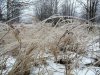 Необычная зима – взгляд из поселения КалиновецЪ